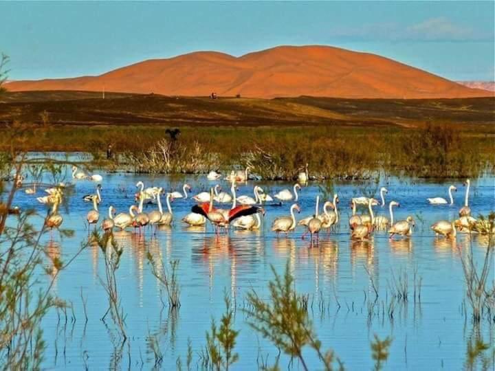 Maison Bedouin Merzouga Otel Dış mekan fotoğraf