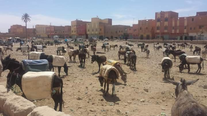 Maison Bedouin Merzouga Otel Dış mekan fotoğraf